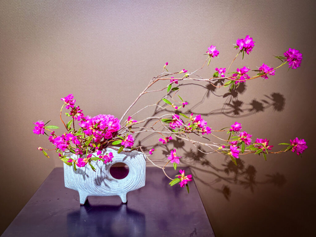 Ikebana arrangement with vibrant pink Yoshino azalea branches in a modern gray vase, creating a minimalist Japanese floral design