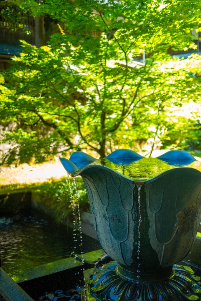 永平寺の境内にある蓮の花の形をした水盤。新緑のもみじを背景に、水が静かに流れ落ちている。
