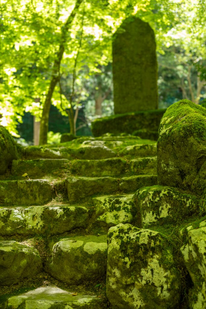 永平寺の境内にある苔むした石段と、奥に佇む石碑。

