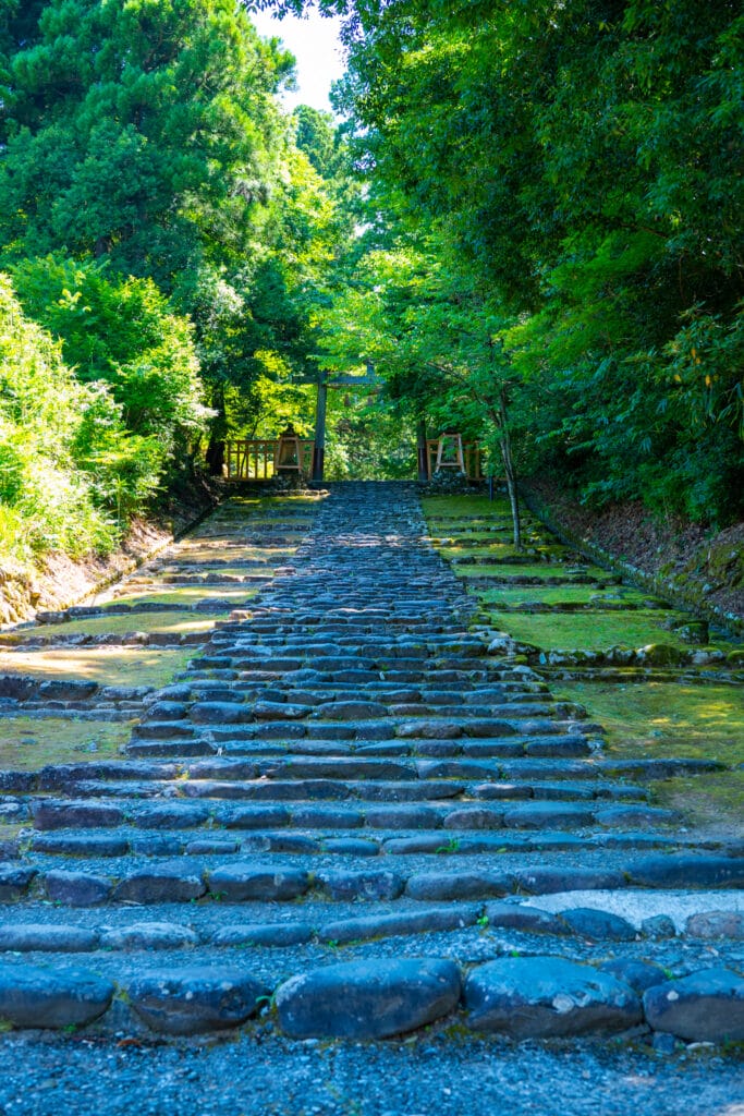 平泉寺白山神社の参道に続く石段と奥に見える鳥居。
