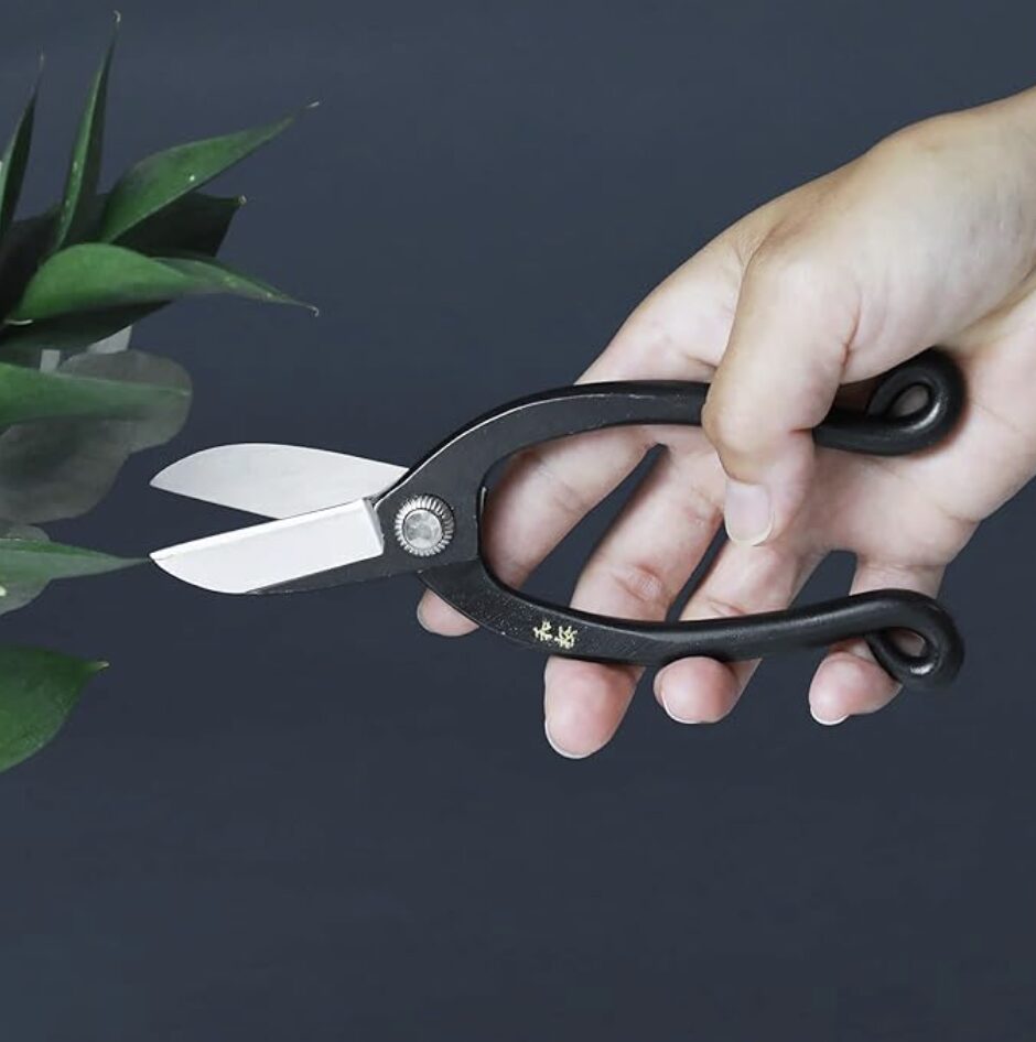 Using Wazakura Ikenobo Ikebana Scissors to trim flowers for Japanese flower arranging at home