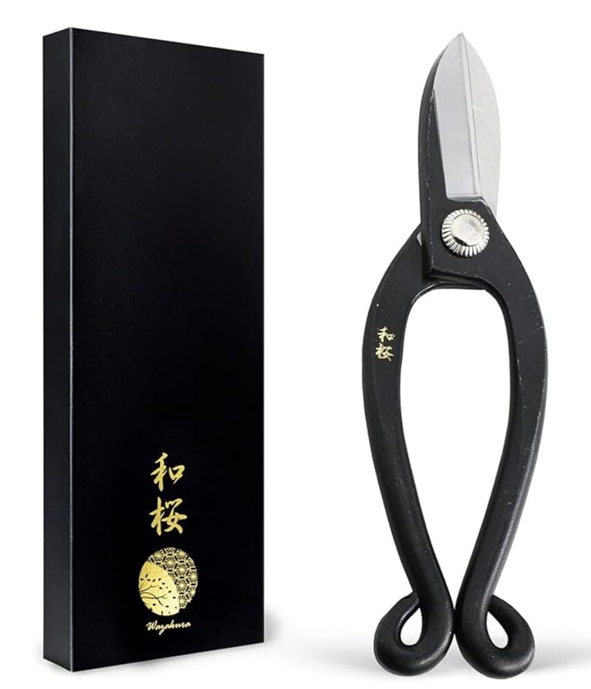 Wazakura Ikenobo Ikebana Scissors made in Japan, professional floral arrangement tool for beginners and experts