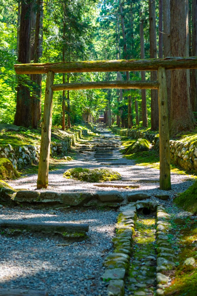 平泉寺白山神社の参道に立つ木製の鳥居と石畳の階段。
